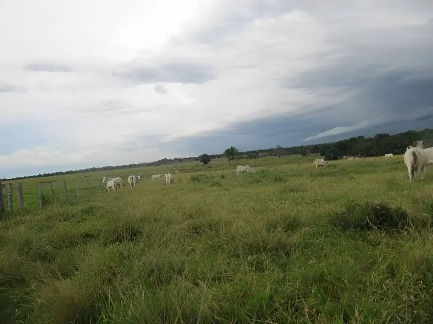 Foto 9 de Fazenda / Haras à venda, 2541m2 em Centro, Pontes E Lacerda - MT