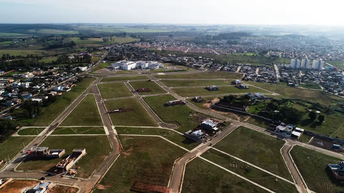Foto 6 de Terreno / Lote à venda em Pinheiro Machado, Santa Maria - RS