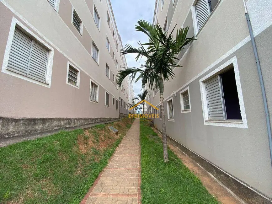 Foto 1 de Apartamento com 2 quartos à venda, 49m2 em Americana - SP