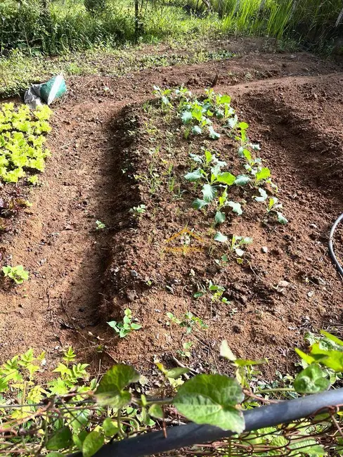 Foto 5 de Sítio / Rancho com 4 quartos à venda, 520000m2 em Miracatu - SP