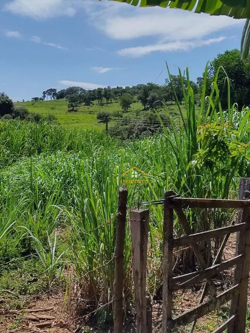 Foto 4 de Sítio / Rancho com 2 quartos à venda, 290400m2 em Sao Jose do Rio Pardo - SP