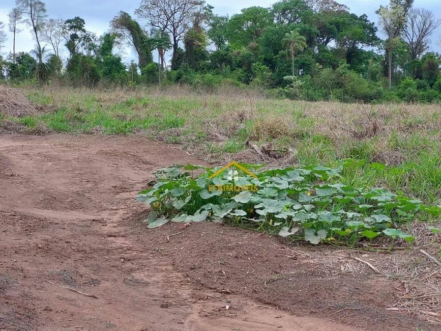 Foto 7 de Terreno / Lote à venda, 100000m2 em Limeira - SP