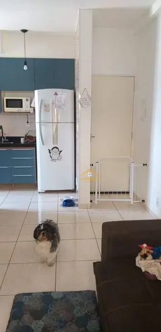 Apartamento com 2 quartos à venda, 49m2 em Jardim da Alvorada, Nova Odessa - SP - imagem 8 Foto 8 de Apartamento com 2 quartos à venda, 49m2 em Jardim da Alvorada, Nova Odessa - SP