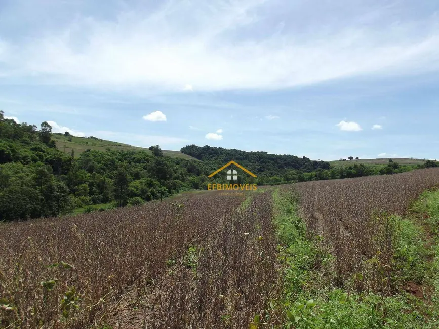 Foto 3 de Fazenda / Haras à venda, 145200m2 em Santo Antonio Da Platina - PR