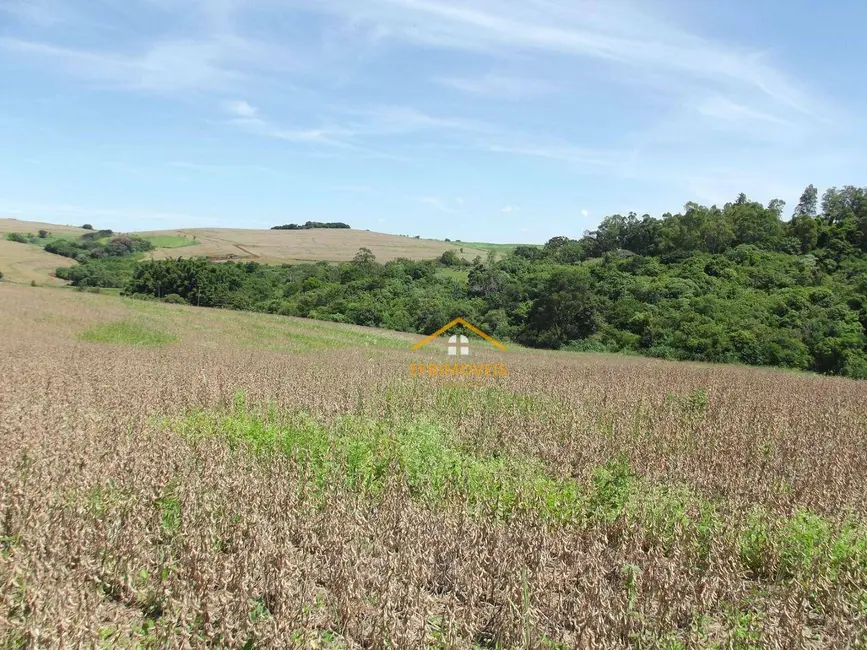 Foto 4 de Fazenda / Haras à venda, 145200m2 em Santo Antonio Da Platina - PR