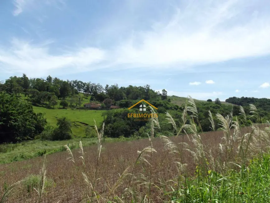Foto 5 de Fazenda / Haras à venda, 145200m2 em Santo Antonio Da Platina - PR