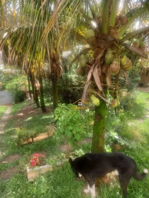 Foto 6 de Chácara com 3 quartos à venda, 800m2 em Balneário Salto Grande, Americana - SP