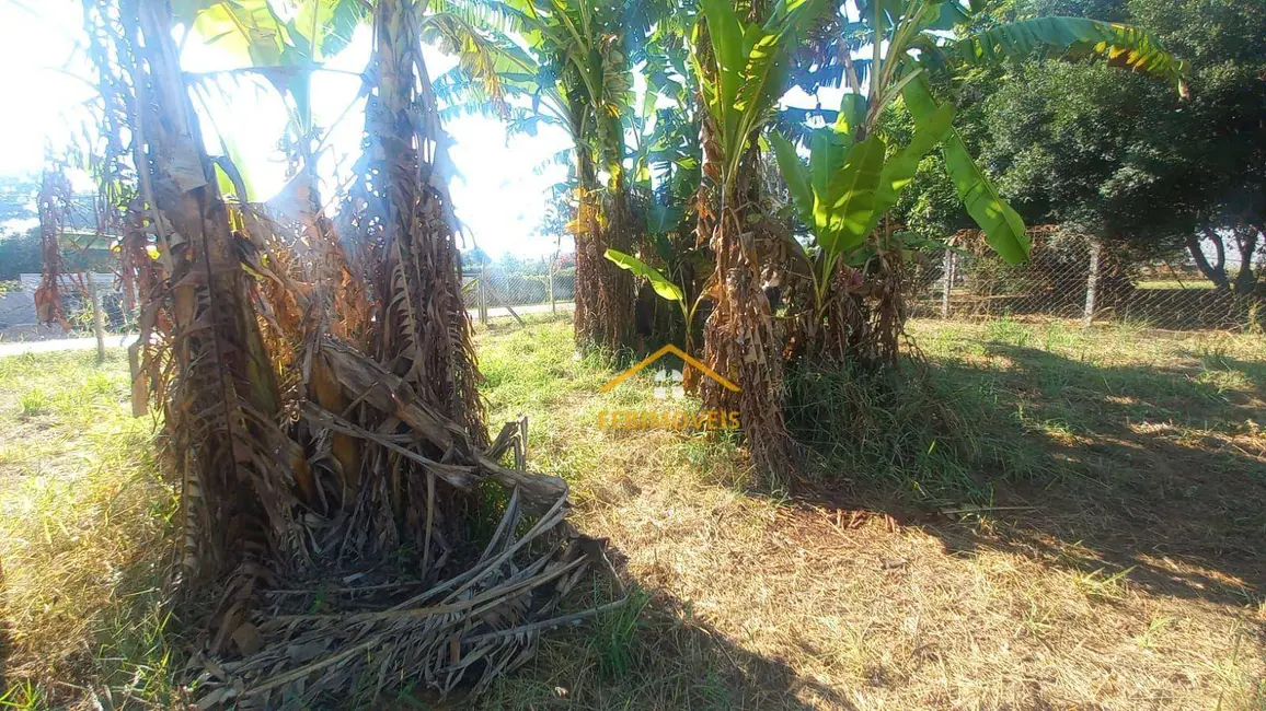 Terreno / Lote para alugar, 1000m2 em Parque dos Pinheiros, Nova Odessa - SP - imagem 3 Foto 3 de Terreno / Lote para alugar, 1000m2 em Parque dos Pinheiros, Nova Odessa - SP