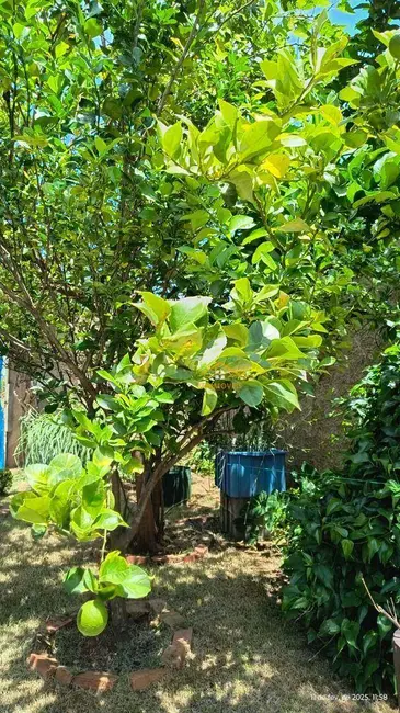 Foto 2 de Casa com 2 quartos à venda, 267m2 em Nova Odessa - SP