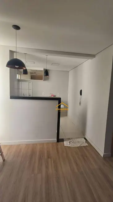 Apartamento com 2 quartos para alugar, 49m2 em Jardim Terramérica I, Americana - SP - imagem 8 Foto 8 de Apartamento com 2 quartos para alugar, 49m2 em Jardim Terramérica I, Americana - SP