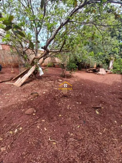 Terreno / Lote à venda, 500m2 em Residencial Vale das Nogueiras, Americana - SP - imagem 3 Foto 3 de Terreno / Lote à venda, 500m2 em Residencial Vale das Nogueiras, Americana - SP
