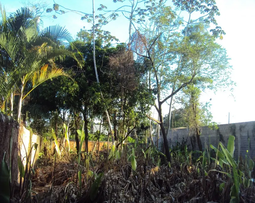 Foto 6 de Terreno / Lote à venda, 1900m2 em Vargem Grande, Rio De Janeiro - RJ