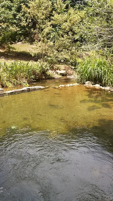 Terreno / Lote à venda, 432000m2 em Xerém, Duque De Caxias - RJ - imagem 4 Foto 4 de Terreno / Lote à venda, 432000m2 em Xerém, Duque De Caxias - RJ
