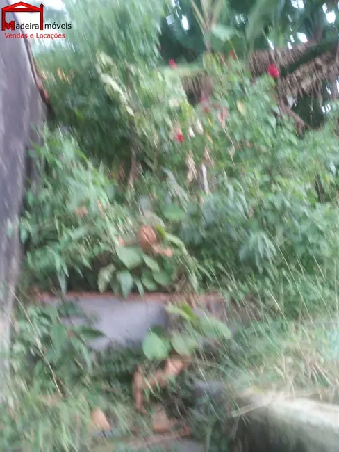 Casa com 2 quartos à venda, 104m2 em Jardim Peri, São Paulo - SP - imagem 5 Foto 5 de Casa com 2 quartos à venda, 104m2 em Jardim Peri, São Paulo - SP