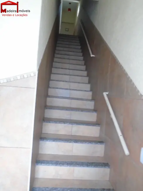 Casa com 2 quartos para alugar, 40m2 em Jardim Santa Mônica, São Paulo - SP - imagem 2 Foto 2 de Casa com 2 quartos para alugar, 40m2 em Jardim Santa Mônica, São Paulo - SP