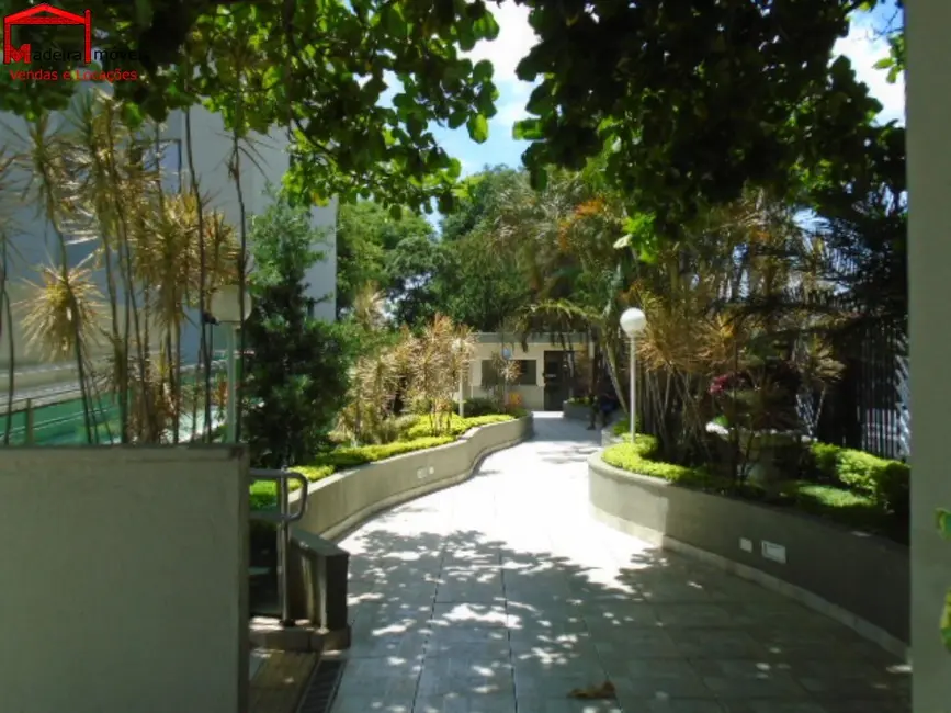 Foto 1 de Apartamento com 2 quartos para alugar, 60m2 em Jardim Regina, São Paulo - SP