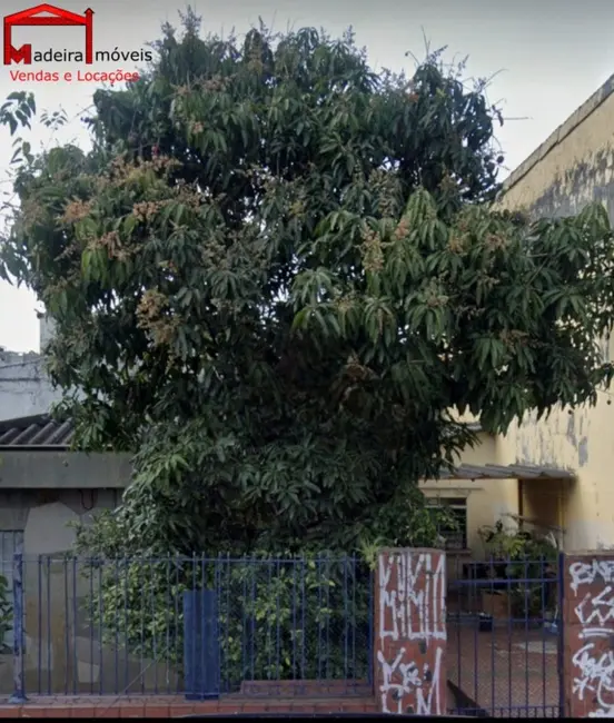 Foto 1 de Casa com 3 quartos à venda, 90m2 em Vila Miriam, São Paulo - SP