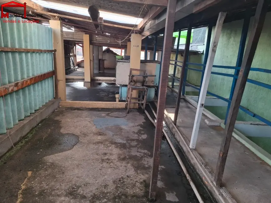 Foto 3 de Casa com 3 quartos à venda, 180m2 em Vila Guedes, São Paulo - SP