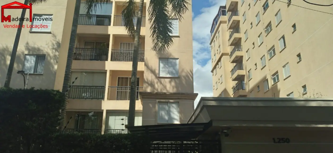 Foto 1 de Apartamento com 3 quartos para alugar, 70m2 em City América, São Paulo - SP