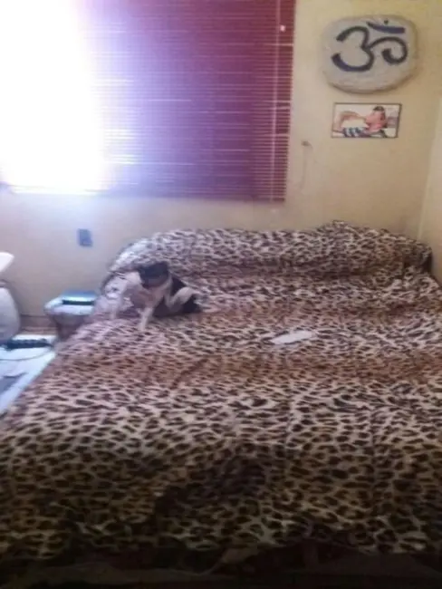 Foto 8 de Apartamento com 2 quartos à venda, 50m2 em Pirituba, São Paulo - SP