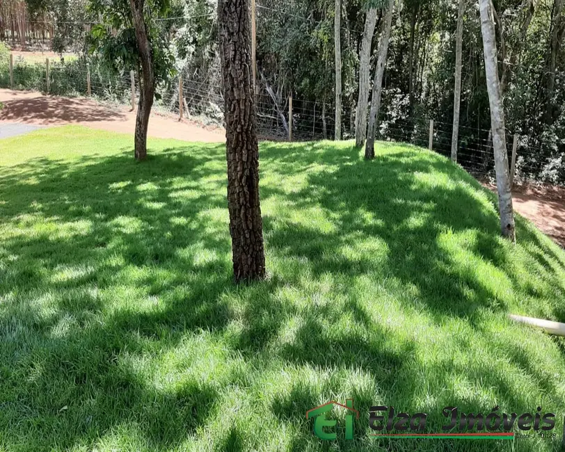 Chácara com 3 quartos à venda, 10000m2 em Rio Verde - GO - imagem 3 Foto 3 de Chácara com 3 quartos à venda, 10000m2 em Rio Verde - GO