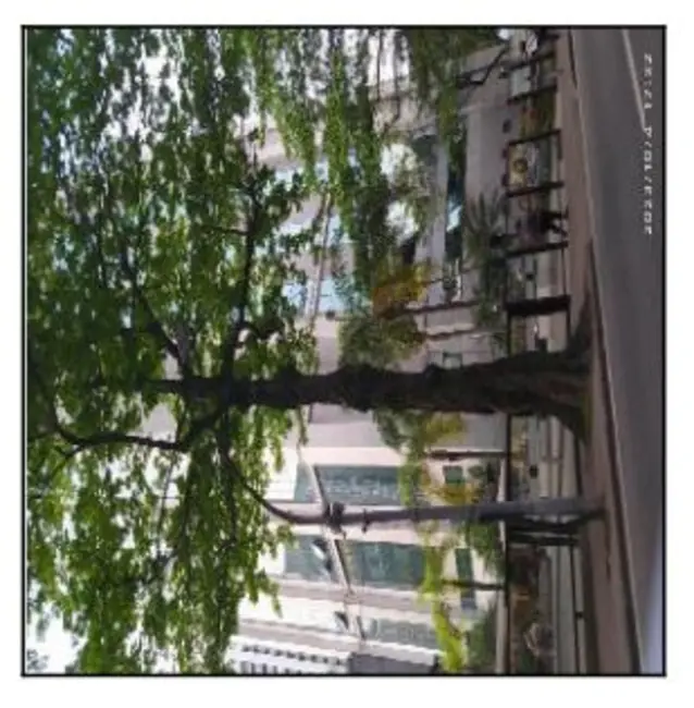 Sala Comercial com 1 quarto à venda, 47m2 em Barra da Tijuca, Rio De Janeiro - RJ - imagem 1 Foto 1 de Sala Comercial com 1 quarto à venda, 47m2 em Barra da Tijuca, Rio De Janeiro - RJ