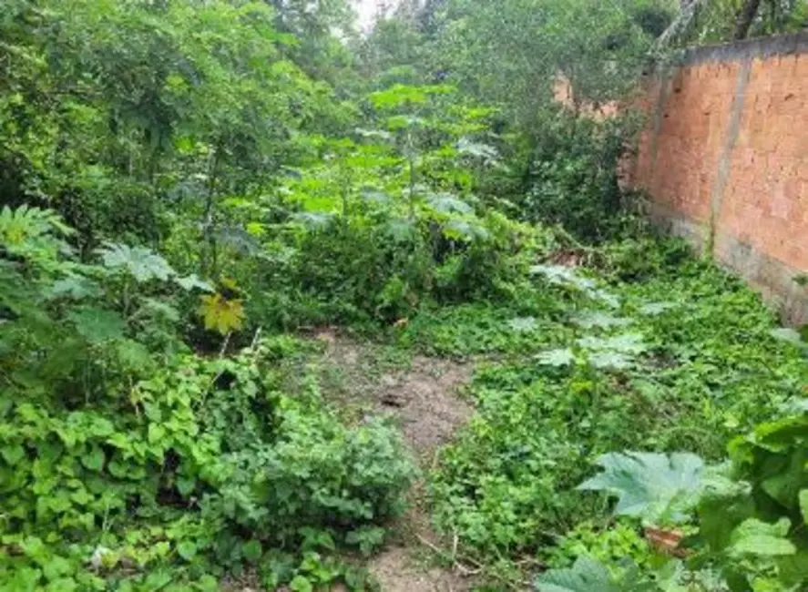 Terreno / Lote com 1 quarto à venda, 389m2 em Itaguai - RJ - imagem 3 Foto 3 de Terreno / Lote com 1 quarto à venda, 389m2 em Itaguai - RJ