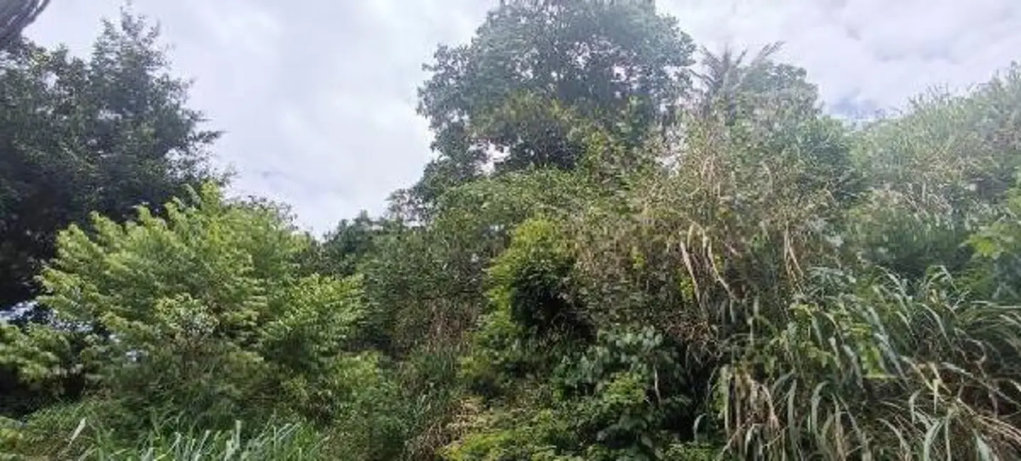 Foto 1 de Terreno / Lote com 1 quarto à venda, 470m2 em Piratininga, Niteroi - RJ