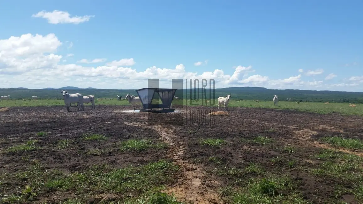 Foto 1 de Fazenda / Haras à venda em Corumbiara - RO