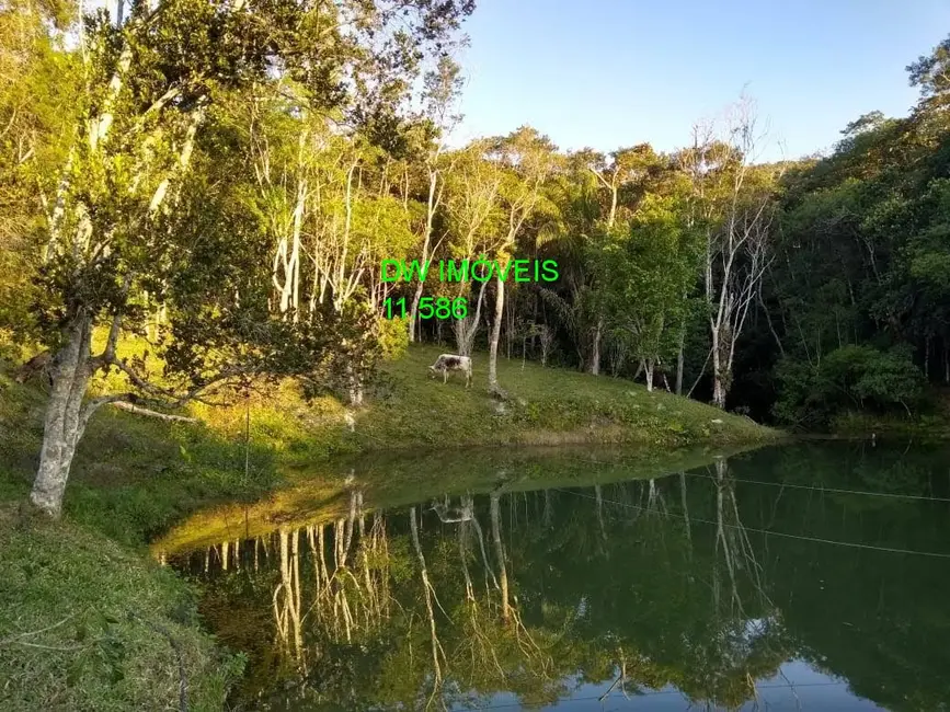 Foto 5 de Sítio / Rancho com 3 quartos à venda, 300m2 em Juquitiba - SP