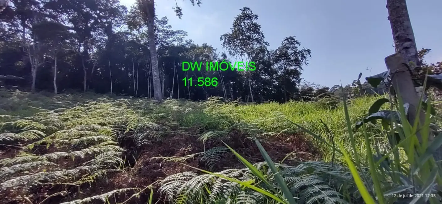 Foto 9 de Sítio / Rancho com 2 quartos à venda, 150m2 em Miracatu - SP