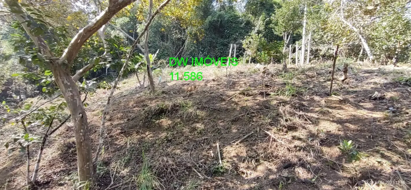 Foto 8 de Sítio / Rancho com 3 quartos à venda, 180m2 em Miracatu - SP