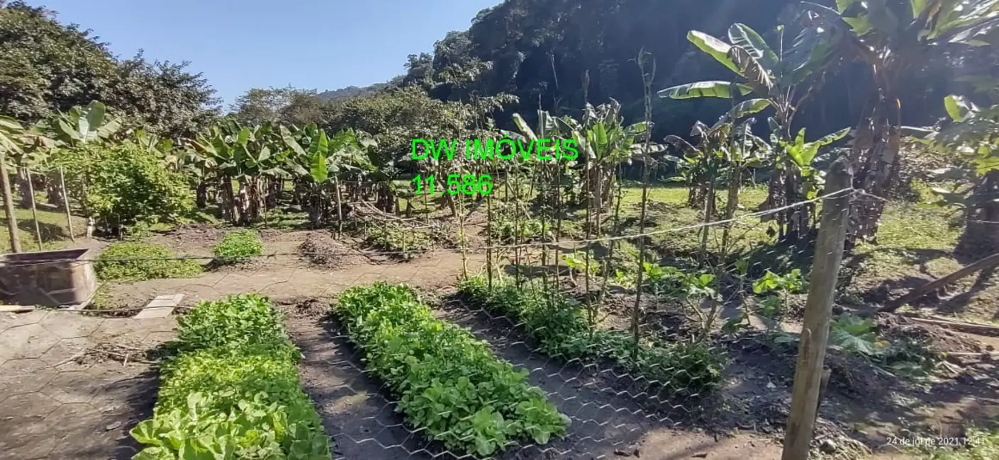 Foto 4 de Sítio / Rancho com 2 quartos à venda, 200m2 em Miracatu - SP