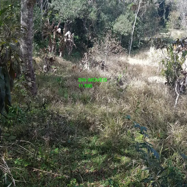 Foto 1 de Terreno / Lote à venda, 8400m2 em Juquitiba - SP