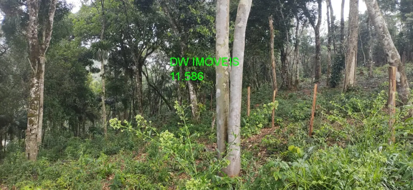 Foto 4 de Terreno / Lote à venda, 504m2 em Juquitiba - SP