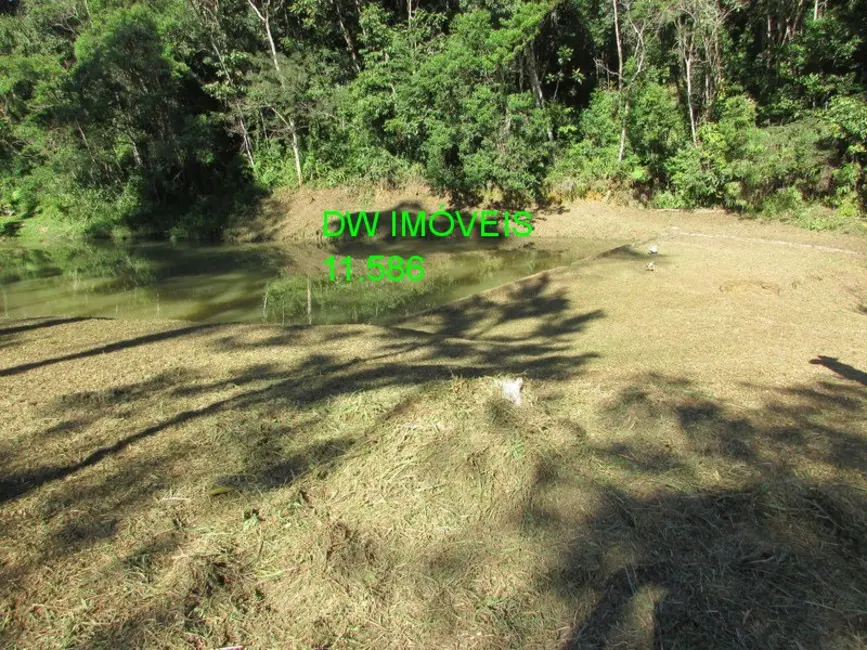 Foto 3 de Terreno / Lote à venda, 10000m2 em Juquitiba - SP