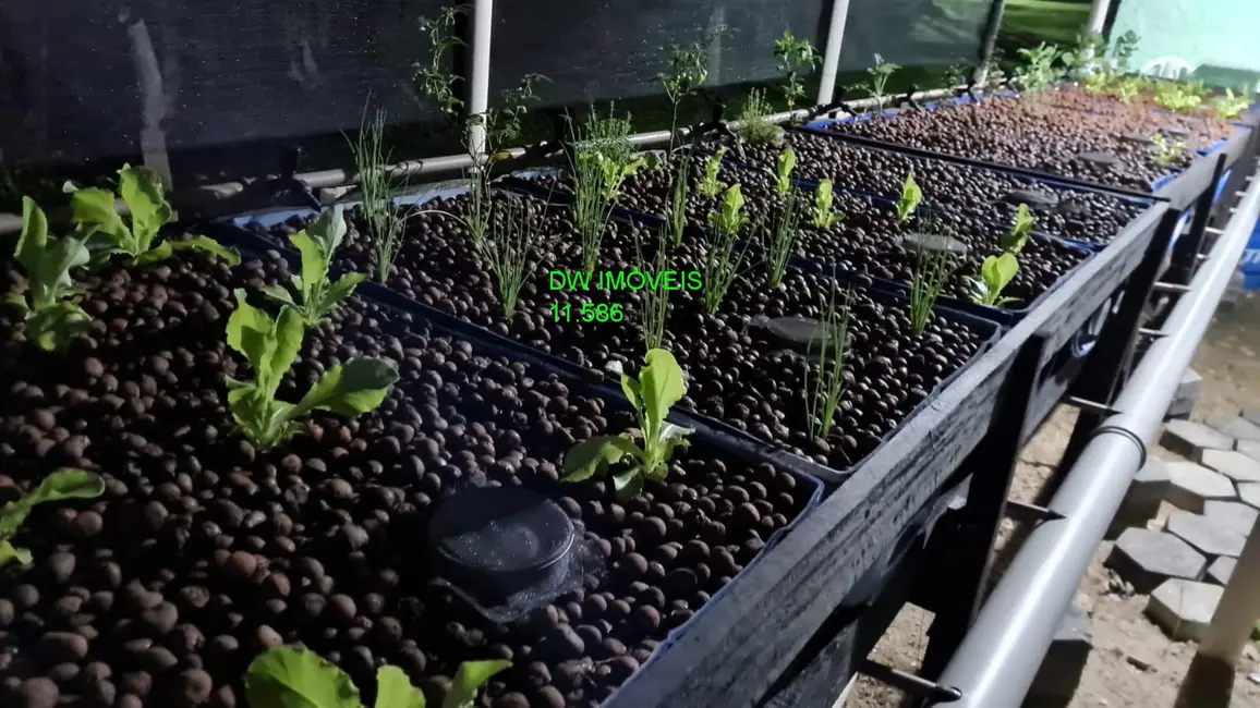 Foto 6 de Sítio / Rancho à venda, 1000m2 em Miracatu - SP