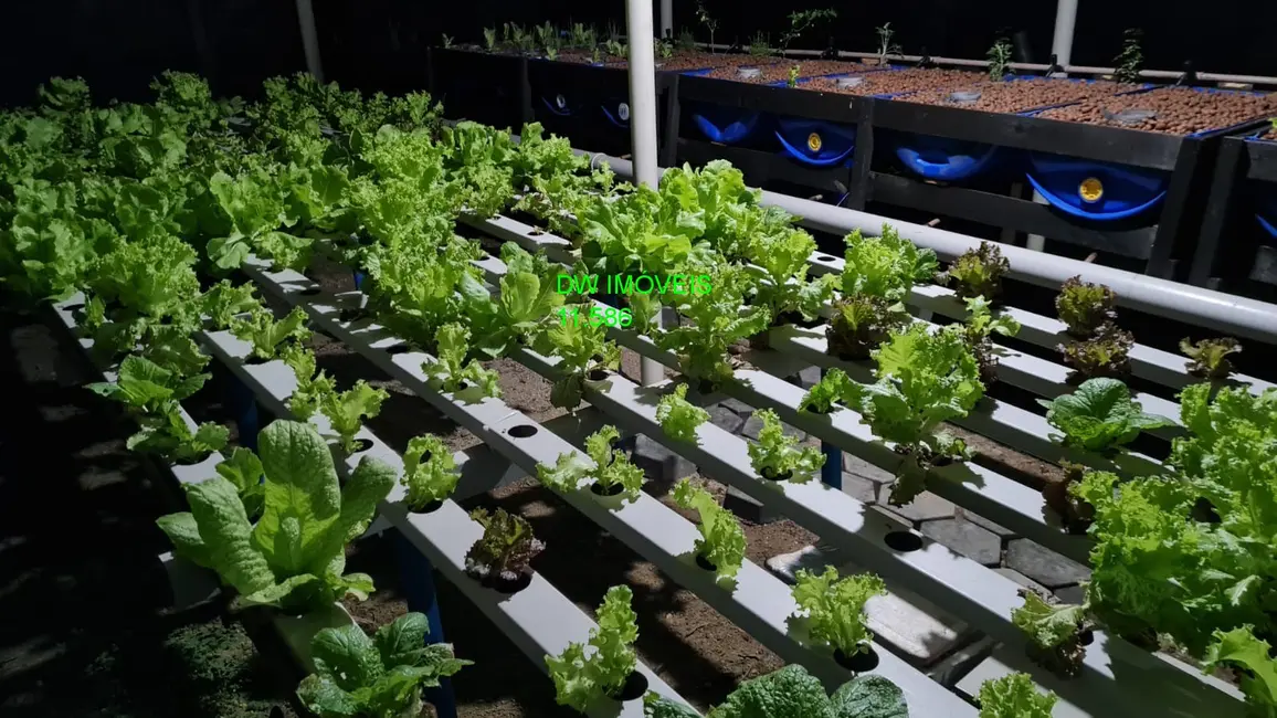 Foto 7 de Sítio / Rancho à venda, 1000m2 em Miracatu - SP