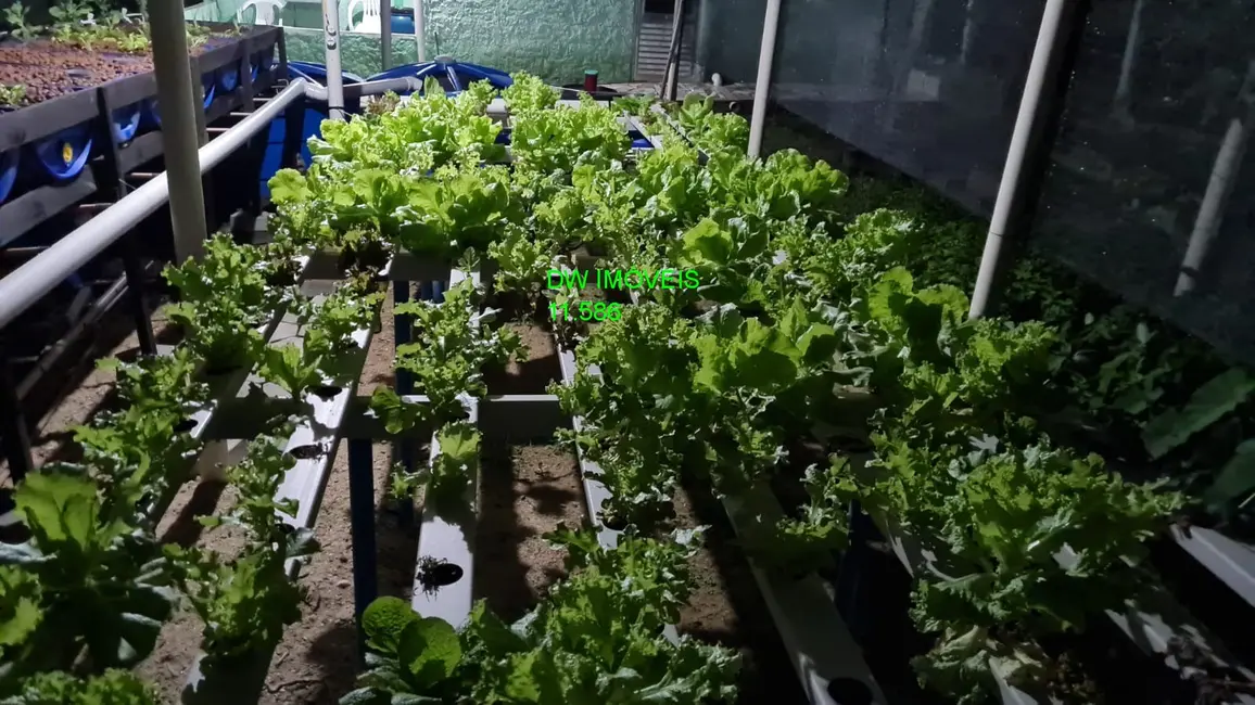 Foto 8 de Sítio / Rancho à venda, 1000m2 em Miracatu - SP