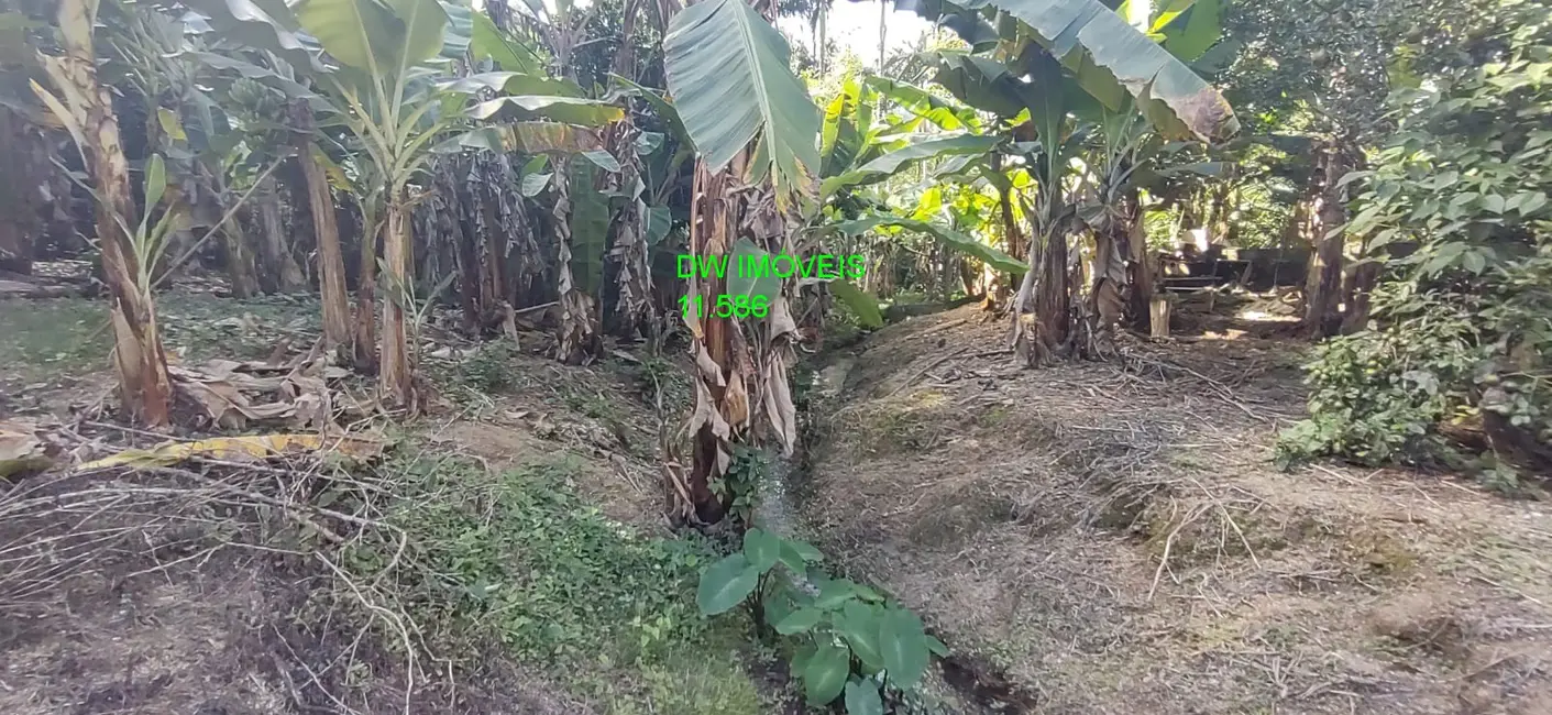 Chácara com 2 quartos à venda, 200m2 em Juquia - SP - imagem 8 Foto 8 de Chácara com 2 quartos à venda, 200m2 em Juquia - SP