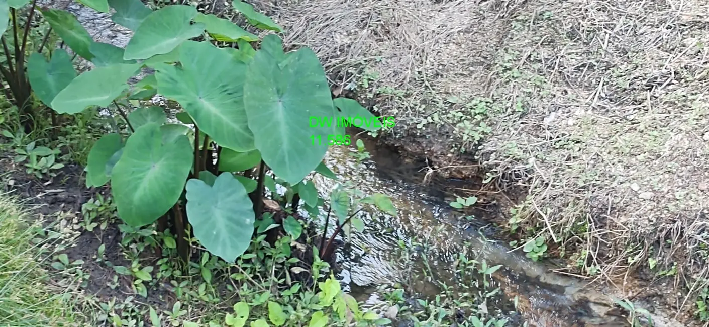 Chácara com 2 quartos à venda, 200m2 em Juquia - SP - imagem 6 Foto 6 de Chácara com 2 quartos à venda, 200m2 em Juquia - SP