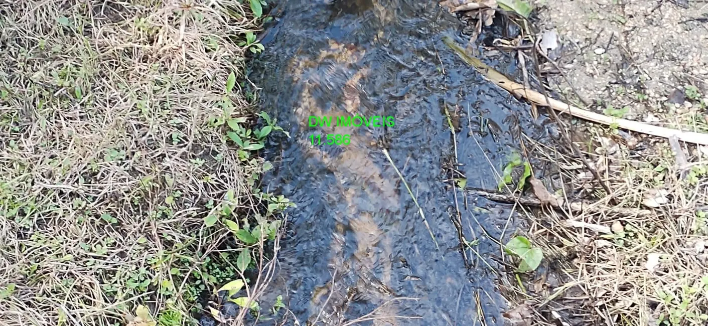 Chácara com 2 quartos à venda, 200m2 em Juquia - SP - imagem 7 Foto 7 de Chácara com 2 quartos à venda, 200m2 em Juquia - SP