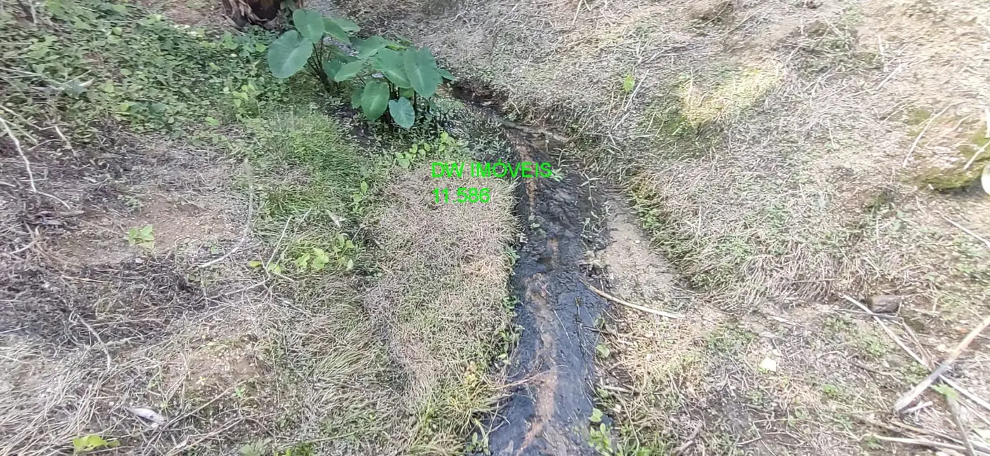 Chácara com 2 quartos à venda, 200m2 em Juquia - SP - imagem 9 Foto 9 de Chácara com 2 quartos à venda, 200m2 em Juquia - SP