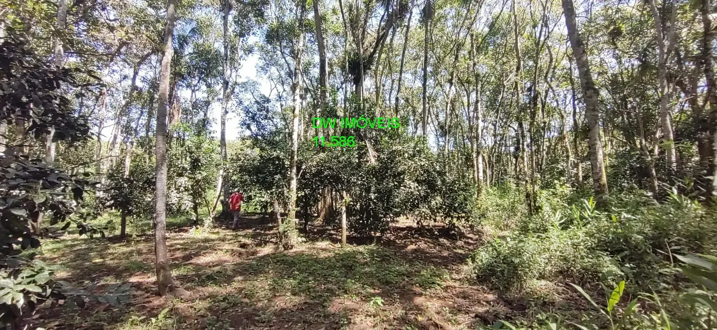 Foto 2 de Chácara com 1 quarto à venda, 250m2 em Miracatu - SP