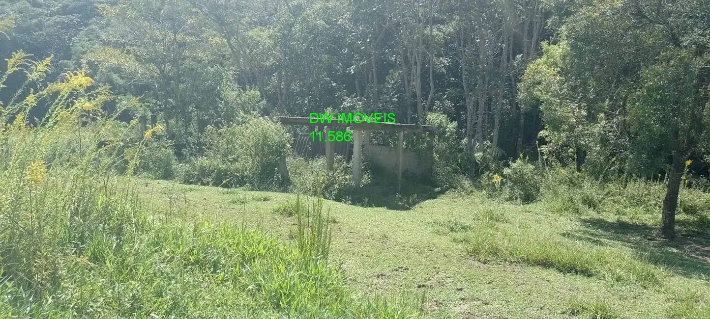 Foto 5 de Sítio / Rancho à venda, 1000m2 em Juquitiba - SP