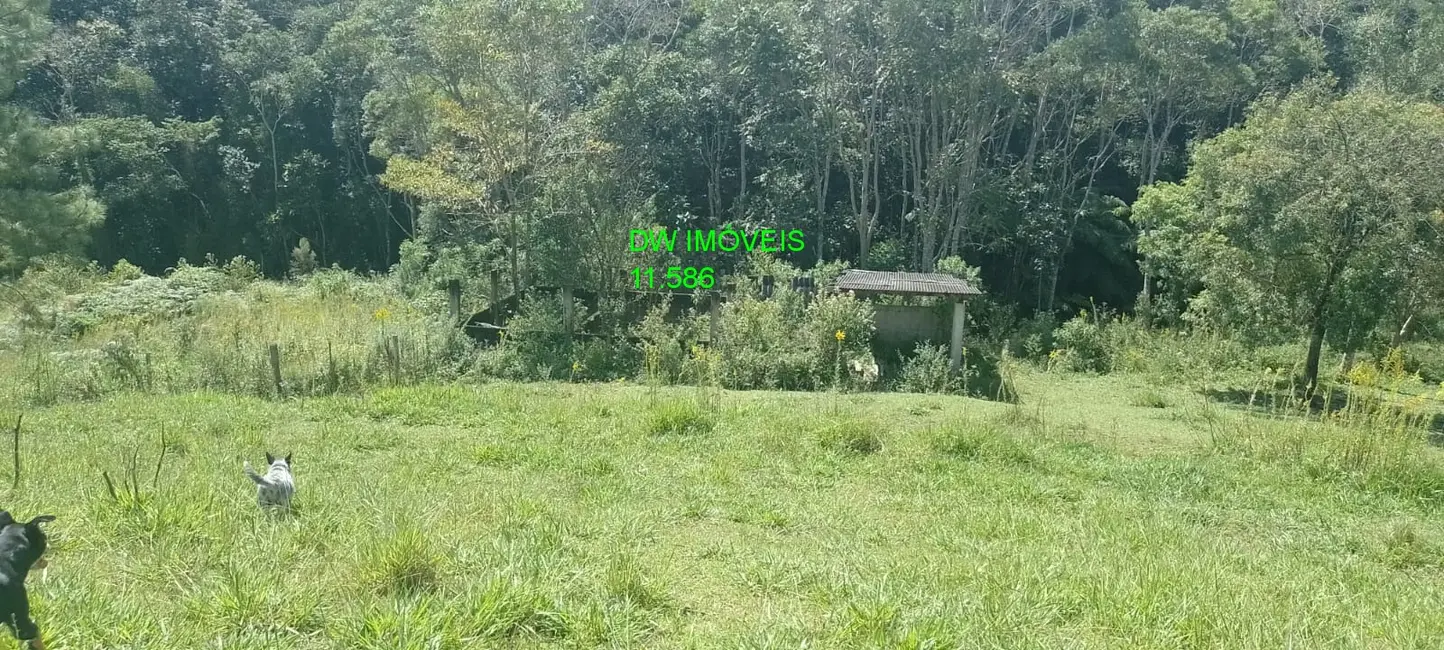 Foto 3 de Sítio / Rancho à venda, 1000m2 em Juquitiba - SP