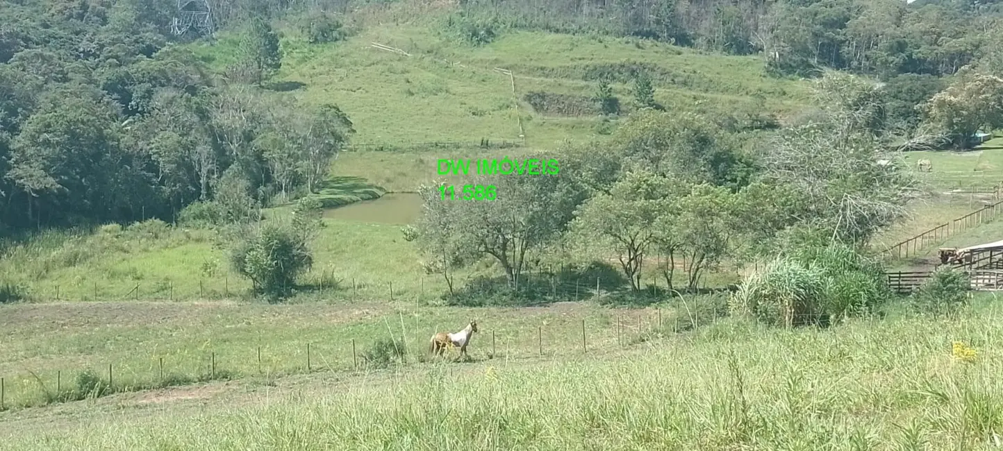 Foto 7 de Sítio / Rancho à venda, 1000m2 em Juquitiba - SP