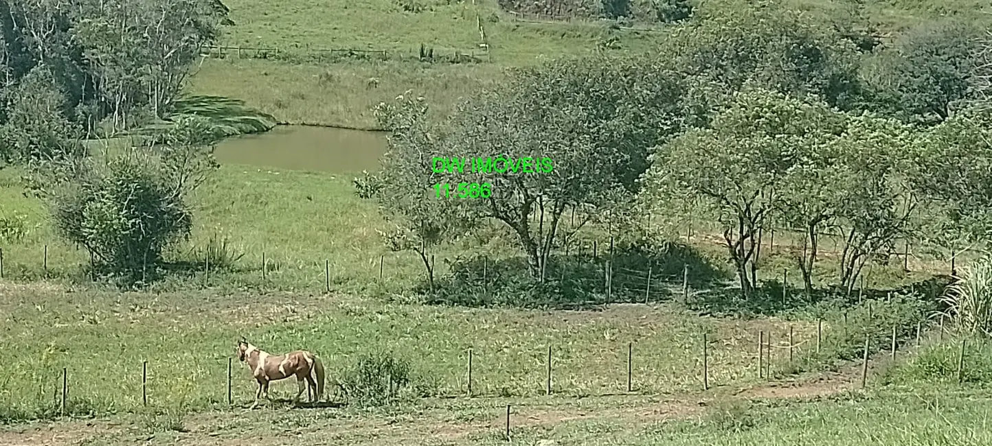 Foto 6 de Sítio / Rancho à venda, 1000m2 em Juquitiba - SP