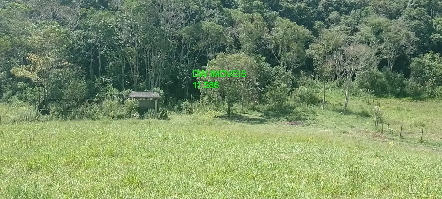 Foto 8 de Sítio / Rancho à venda, 1000m2 em Juquitiba - SP