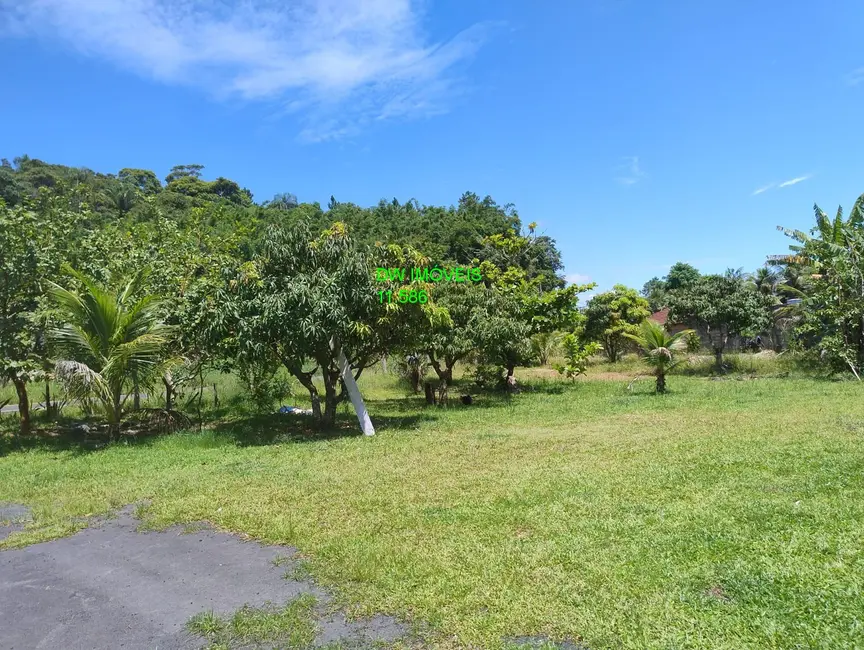 Sítio / Rancho com 3 quartos à venda, 250m2 em Iguape - SP - imagem 6 Foto 6 de Sítio / Rancho com 3 quartos à venda, 250m2 em Iguape - SP